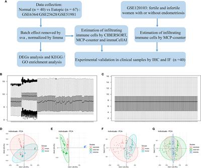 Identification and Validation of the Signatures of Infiltrating Immune Cells in the Eutopic Endometrium Endometria of Women With Endometriosis